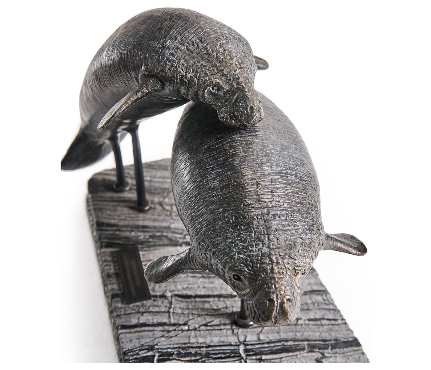 Raised Manatee Bronze Statue with Marble Base